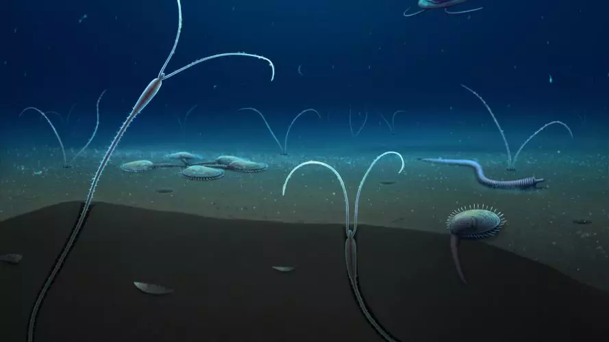 103474784 10216528504237809 1956582975967165433 o