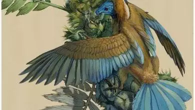 bird 1 e1666627811661 390x390