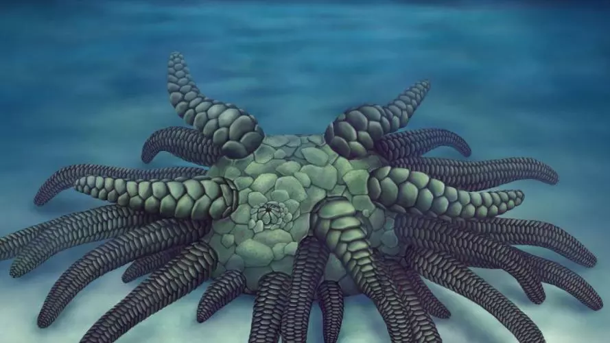 life reconstruction sollasina cthulhu