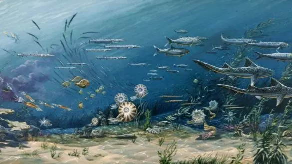 mesozoic marine ecosystem 720