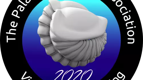 palass 20 logo