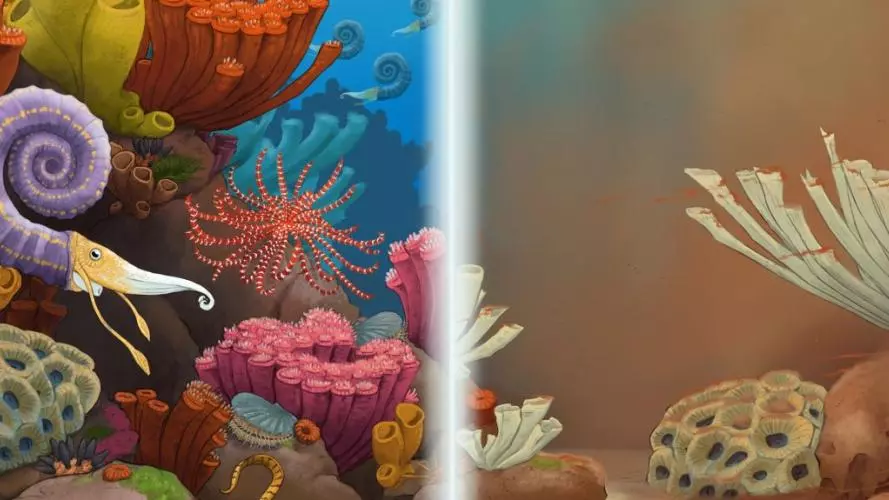 reef divided no log smaller