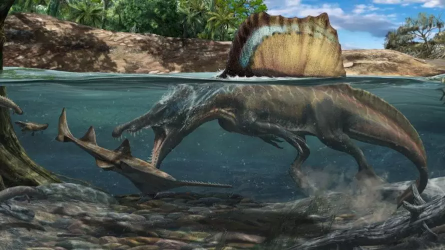 spinosaurus bonadonna 1200575