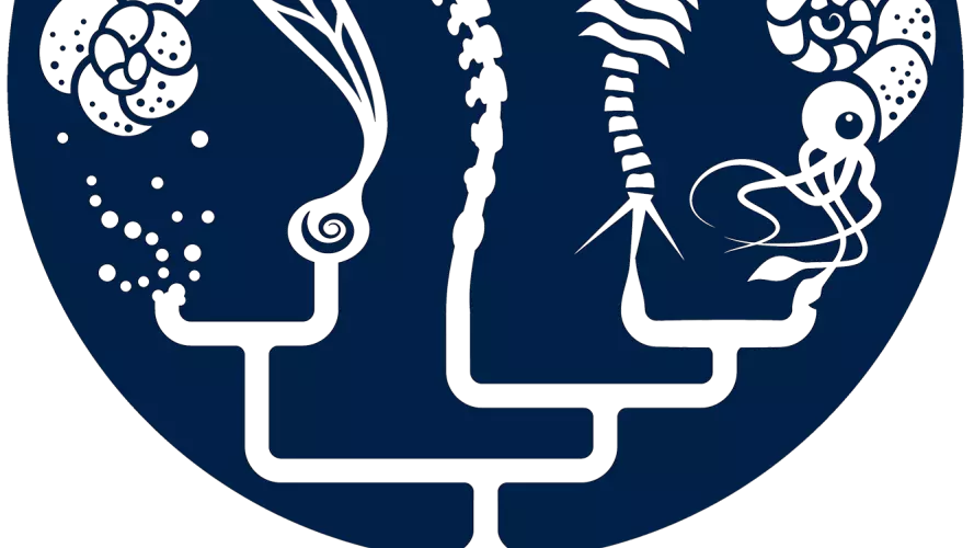 oxford palaeo borderless trans