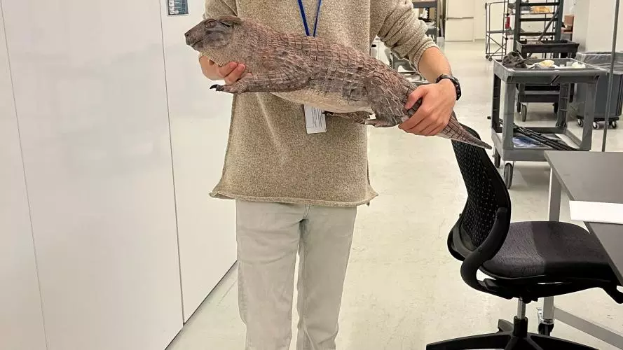 dmns simosuchus photo