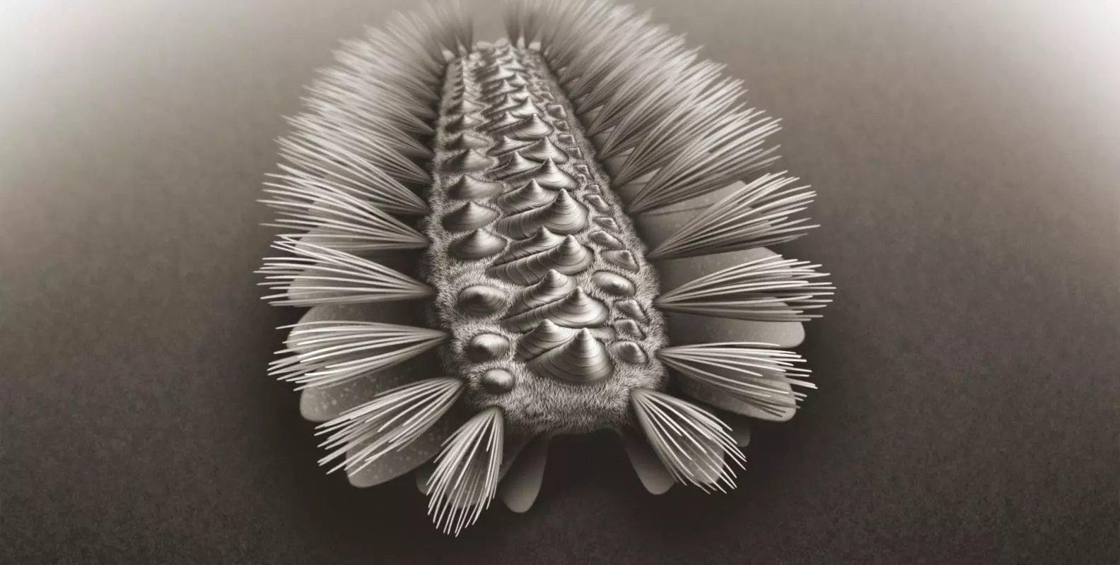armoured worm1 article