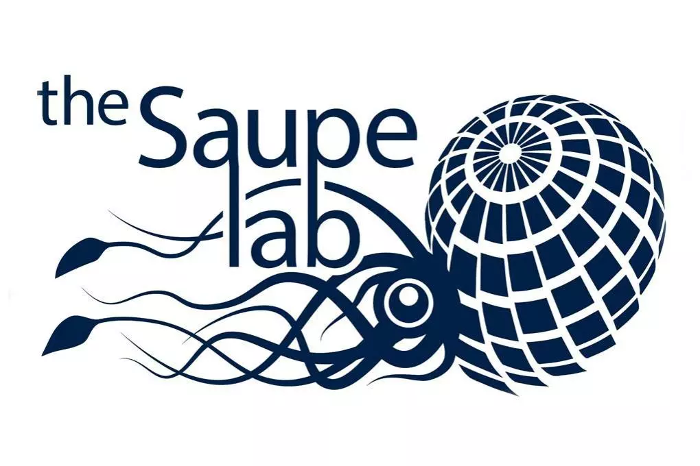 Saupe Lab
