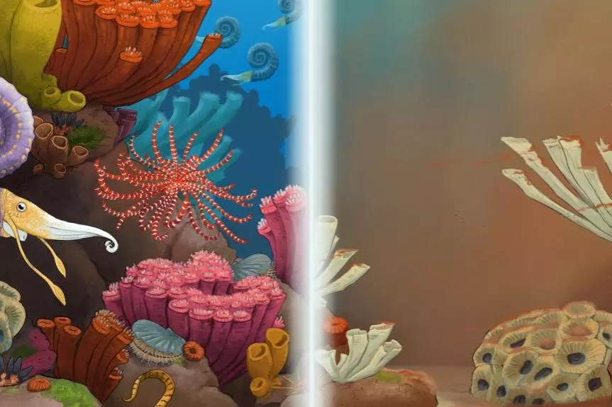 reef divided no log smaller