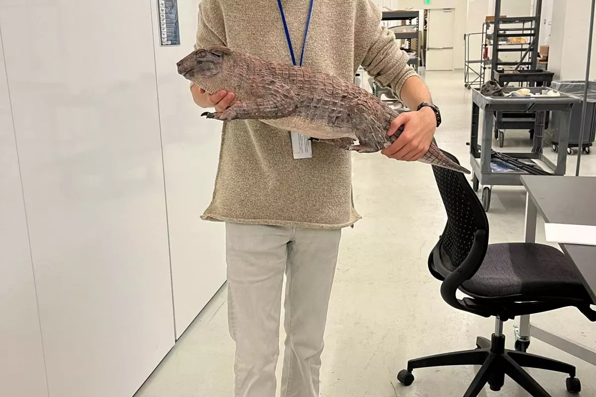 dmns simosuchus photo